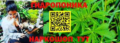 марихуана Кимры