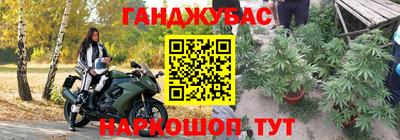 не бодяженный Кингисепп