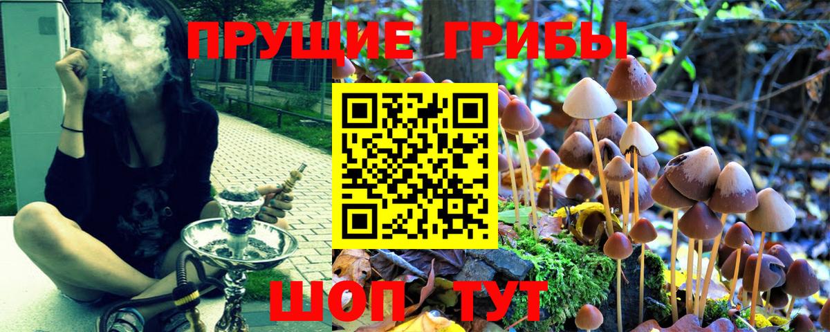 Галлюциногенные грибы мицелий  Вход с VPN  Псилоцибиновые грибы мухоморы  Коркино 