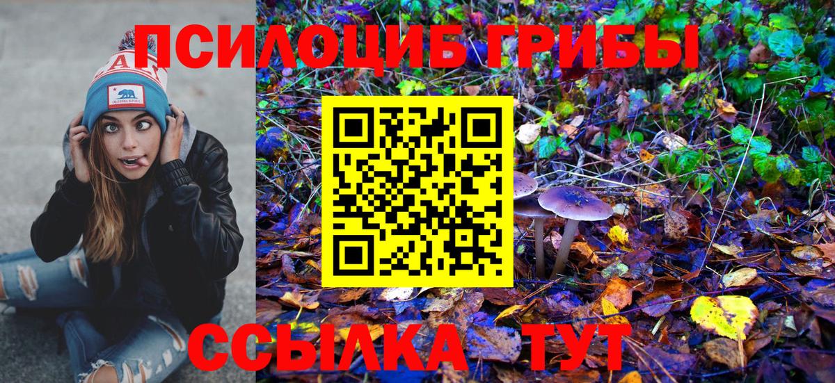 Псилоцибиновые грибы ЛСД Коркино